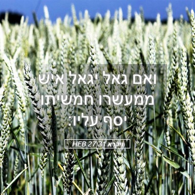 Picture 05 - ויקרא 27:31 HEB - ואם גאל יגאל איש ממעשרו - Bible Verse Picture