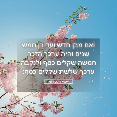 Picture 05 - ויקרא 27:6 HEB - ואם מבן חדש ועד בן חמש שנים - Bible Verse Picture