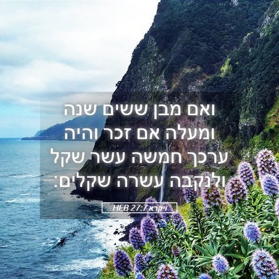 Picture 05 - ויקרא 27:7 HEB - ואם מבן ששים שנה ומעלה אם - Bible Verse Picture