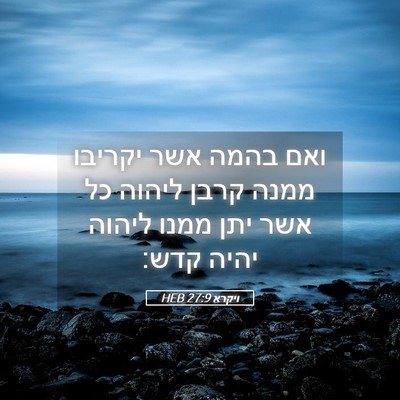 Picture 05 - ויקרא 27:9 HEB - ואם בהמה אשר יקריבו ממנה - Bible Verse Picture