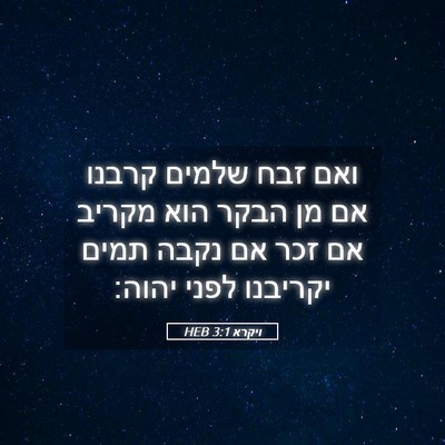 Picture 05 - ויקרא 3:1 HEB - ואם זבח שלמים קרבנו אם מן - Bible Verse Picture