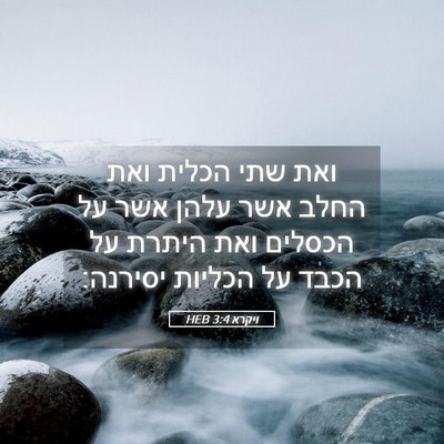 Picture 05 - ויקרא 3:4 HEB - ואת שתי הכלית ואת החלב אשר - Bible Verse Picture