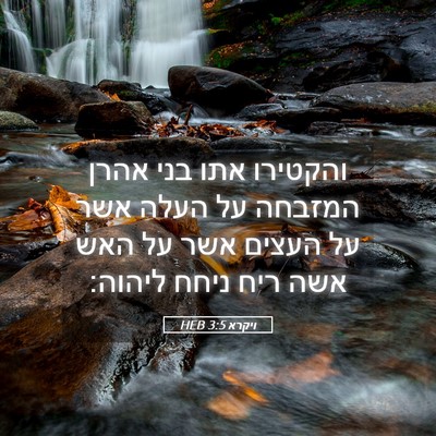 Picture 05 - ויקרא 3:5 HEB - והקטירו אתו בני אהרן - Bible Verse Picture
