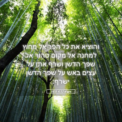 Picture 05 - ויקרא 4:12 HEB - והוציא את כל הפר אל מחוץ - Bible Verse Picture