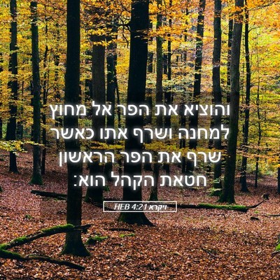 Picture 05 - ויקרא 4:21 HEB - והוציא את הפר אל מחוץ למחנה - Bible Verse Picture