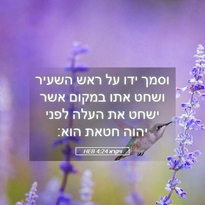 Picture 05 - ויקרא 4:24 HEB - וסמך ידו על ראש השעיר ושחט - Bible Verse Picture