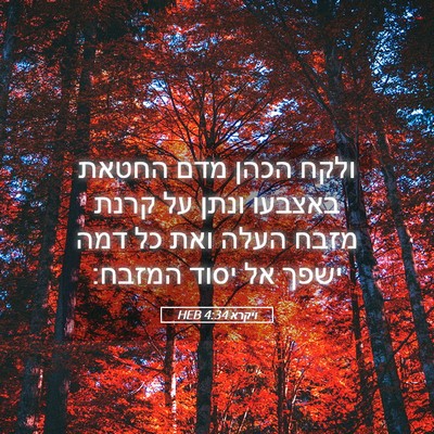 Picture 05 - ויקרא 4:34 HEB - ולקח הכהן מדם החטאת באצבעו - Bible Verse Picture
