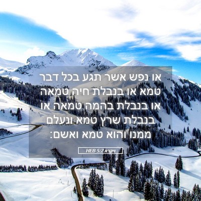 Picture 05 - ויקרא 5:2 HEB - או נפש אשר תגע בכל דבר טמא - Bible Verse Picture