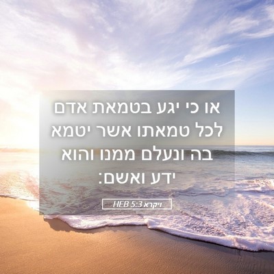 Picture 05 - ויקרא 5:3 HEB - או כי יגע בטמאת אדם לכל - Bible Verse Picture