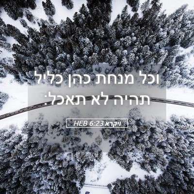 Picture 05 - ויקרא 6:23 HEB - וכל מנחת כהן כליל תהיה לא - Bible Verse Picture