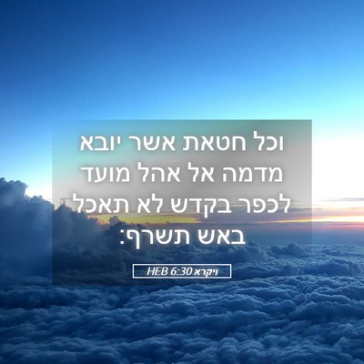 Picture 05 - ויקרא 6:30 HEB - וכל חטאת אשר יובא מדמה אל - Bible Verse Picture