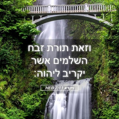 Picture 05 - ויקרא 7:11 HEB - וזאת תורת זבח השלמים אשר - Bible Verse Picture