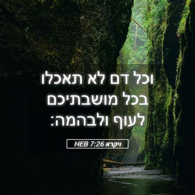 Picture 05 - ויקרא 7:26 HEB - וכל דם לא תאכלו בכל - Bible Verse Picture