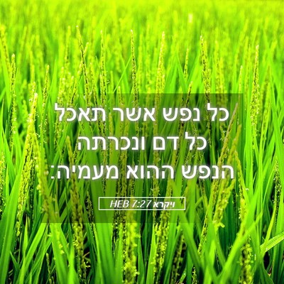 Picture 05 - ויקרא 7:27 HEB - כל נפש אשר תאכל כל דם - Bible Verse Picture