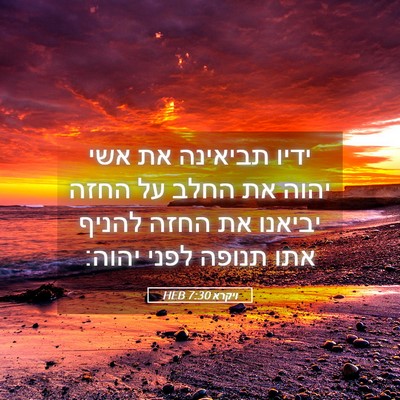 Picture 05 - ויקרא 7:30 HEB - ידיו תביאינה את אשי יהוה את - Bible Verse Picture