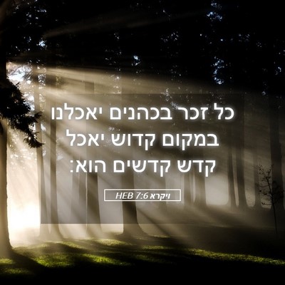 Picture 05 - ויקרא 7:6 HEB - כל זכר בכהנים יאכלנו במקום - Bible Verse Picture