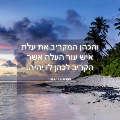 Picture 05 - ויקרא 7:8 HEB - והכהן המקריב את עלת איש עור - Bible Verse Picture