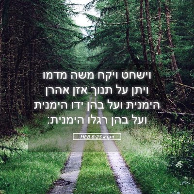 Picture 05 - ויקרא 8:23 HEB - וישחט ויקח משה מדמו ויתן על - Bible Verse Picture