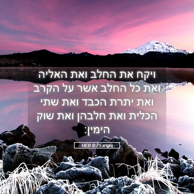 Picture 05 - ויקרא 8:25 HEB - ויקח את החלב ואת האליה ואת - Bible Verse Picture