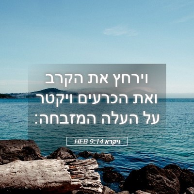 Picture 05 - ויקרא 9:14 HEB - וירחץ את הקרב ואת הכרעים - Bible Verse Picture