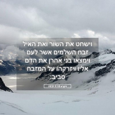 Picture 05 - ויקרא 9:18 HEB - וישחט את השור ואת האיל זבח - Bible Verse Picture