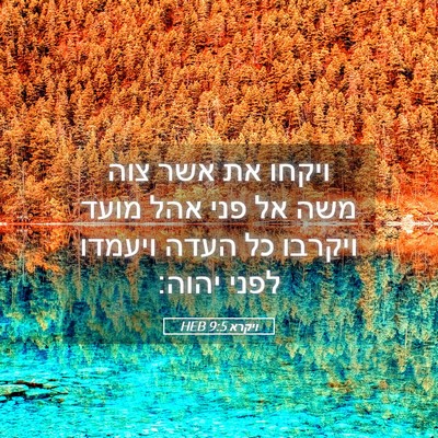 Picture 05 - ויקרא 9:5 HEB - ויקחו את אשר צוה משה אל פני - Bible Verse Picture