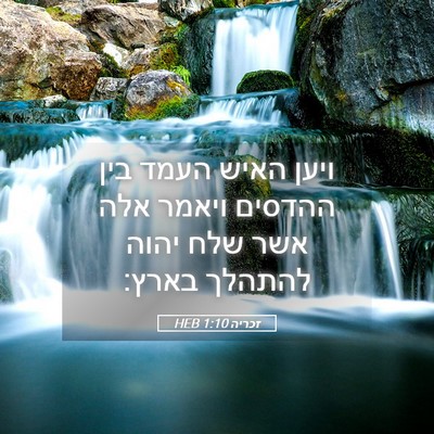 Picture 05 - זכריה 1:10 HEB - ויען האיש העמד בין ההדסים - Bible Verse Picture