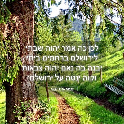 Picture 05 - זכריה 1:16 HEB - לכן כה אמר יהוה שבתי - Bible Verse Picture
