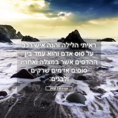 Picture 05 - זכריה 1:8 HEB - ראיתי הלילה והנה איש רכב על - Bible Verse Picture