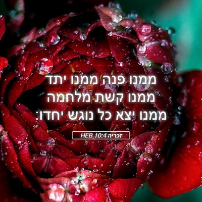 Picture 05 - זכריה 10:4 HEB - ממנו פנה ממנו יתד ממנו קשת - Bible Verse Picture