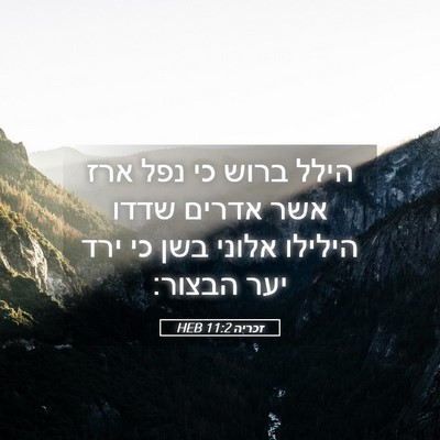 Picture 05 - זכריה 11:2 HEB - הילל ברוש כי נפל ארז אשר - Bible Verse Picture