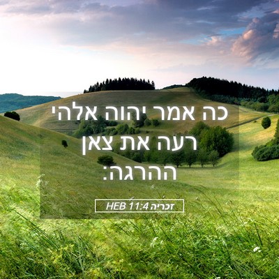 Picture 05 - זכריה 11:4 HEB - כה אמר יהוה אלהי רעה את צאן - Bible Verse Picture