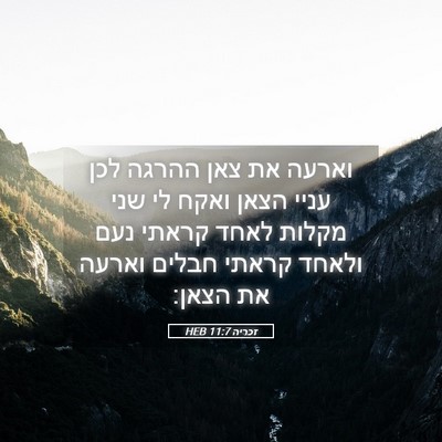 Picture 05 - זכריה 11:7 HEB - וארעה את צאן ההרגה לכן עניי - Bible Verse Picture