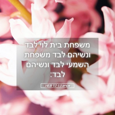 Picture 05 - זכריה 12:13 HEB - משפחת בית לוי לבד ונשיהם - Bible Verse Picture
