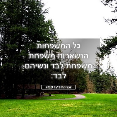 Picture 05 - זכריה 12:14 HEB - כל המשפחות הנשארות משפחת - Bible Verse Picture