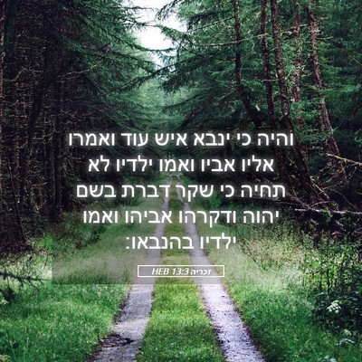 Picture 05 - זכריה 13:3 HEB - והיה כי ינבא איש עוד ואמרו - Bible Verse Picture