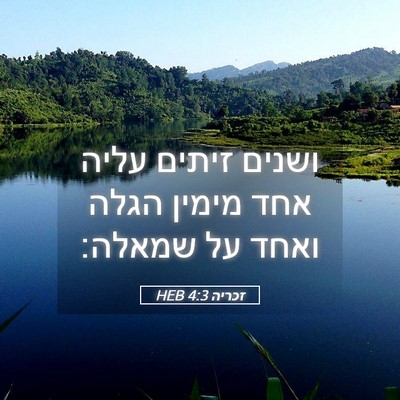 Picture 05 - זכריה 4:3 HEB - ושנים זיתים עליה אחד מימין - Bible Verse Picture