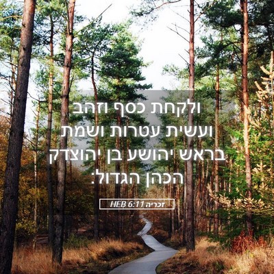 Picture 05 - זכריה 6:11 HEB - ולקחת כסף וזהב ועשית עטרות - Bible Verse Picture