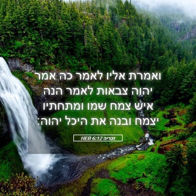 Picture 05 - זכריה 6:12 HEB - ואמרת אליו לאמר כה אמר יהוה - Bible Verse Picture
