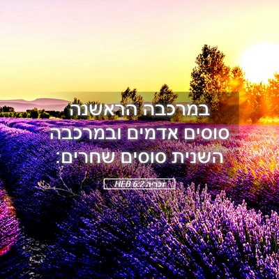 Picture 05 - זכריה 6:2 HEB - במרכבה הראשנה סוסים אדמים - Bible Verse Picture