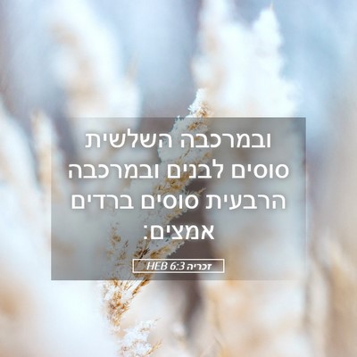 Picture 05 - זכריה 6:3 HEB - ובמרכבה השלשית סוסים לבנים - Bible Verse Picture