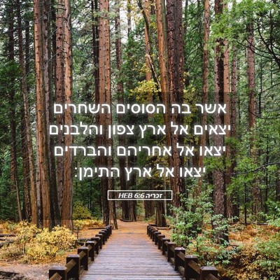 Picture 05 - זכריה 6:6 HEB - אשר בה הסוסים השחרים יצאים - Bible Verse Picture