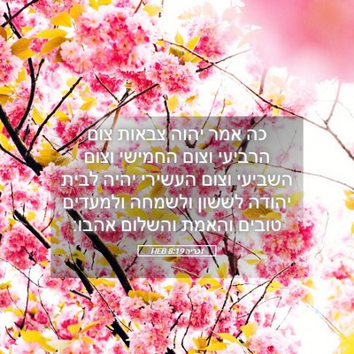 Picture 05 - זכריה 8:19 HEB - כה אמר יהוה צבאות צום - Bible Verse Picture