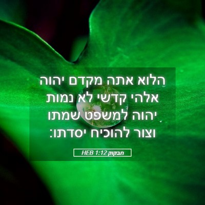 Picture 05 - חבקוק 1:12 HEB - הלוא אתה מקדם יהוה אלהי - Bible Verse Picture