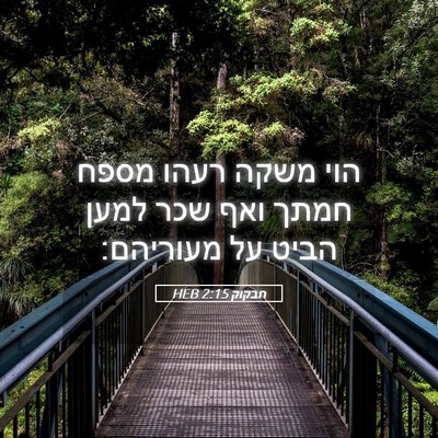 Picture 05 - חבקוק 2:15 HEB - הוי משקה רעהו מספח חמתך ואף - Bible Verse Picture