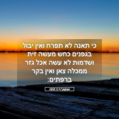 Picture 05 - חבקוק 3:17 HEB - כי תאנה לא תפרח ואין יבול - Bible Verse Picture