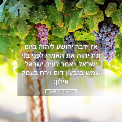 Picture 05 - יהושע 10:12 HEB - אז ידבר יהושע ליהוה ביום תת - Bible Verse Picture