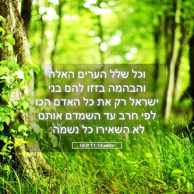Picture 05 - יהושע 11:14 HEB - וכל שלל הערים האלה והבהמה - Bible Verse Picture