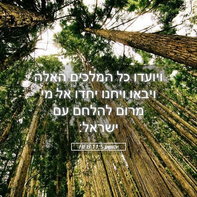Picture 05 - יהושע 11:5 HEB - ויועדו כל המלכים האלה - Bible Verse Picture