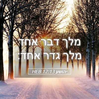 Picture 05 - יהושע 12:13 HEB - מלך דבר אחד מלך גדר - Bible Verse Picture